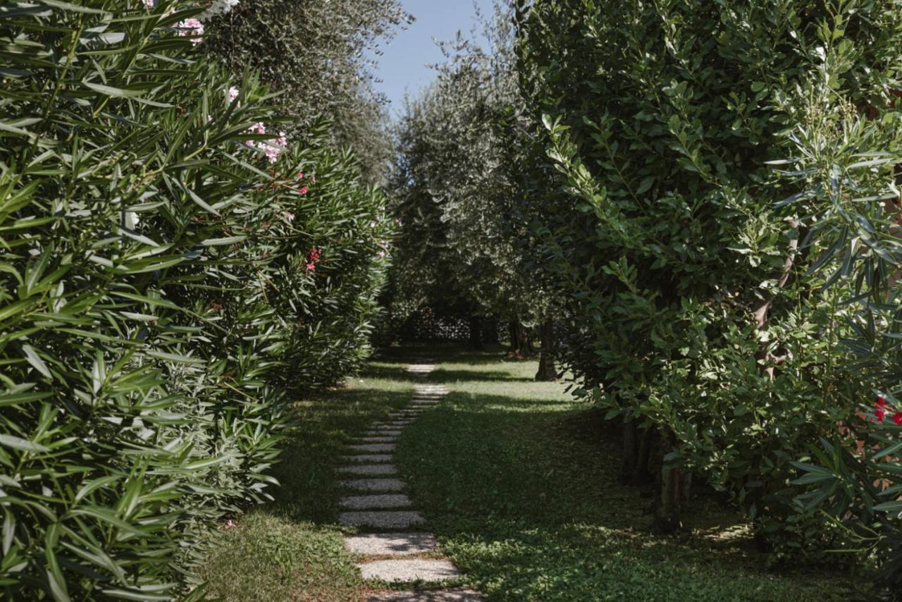 Minerva Holiday Home Manerba del Garda Zewnętrze zdjęcie